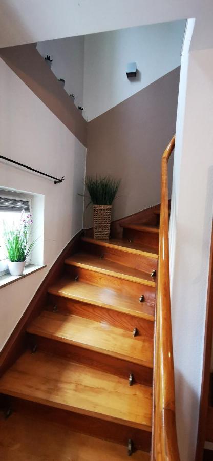 Ferienwohnung Palmenwald Freudenstadt Exterior foto